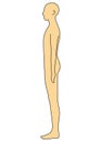 Human body outline, side, illustration